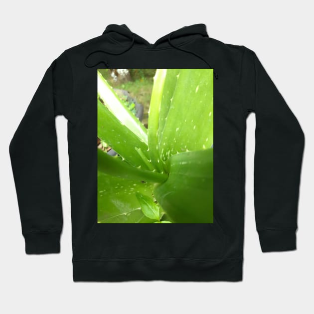 Aloe vera Hoodie by sokileri999